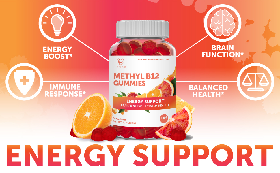 B12 Energy Support