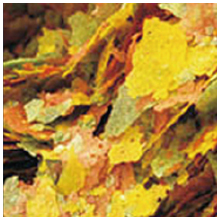 Small manufacture image 11