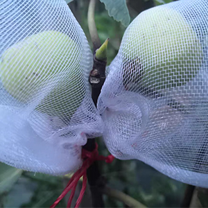 Fruit Protection Bags for Fruit Trees Fruit Netting Drawstring Garden Plant Protector Mesh Cover Bag