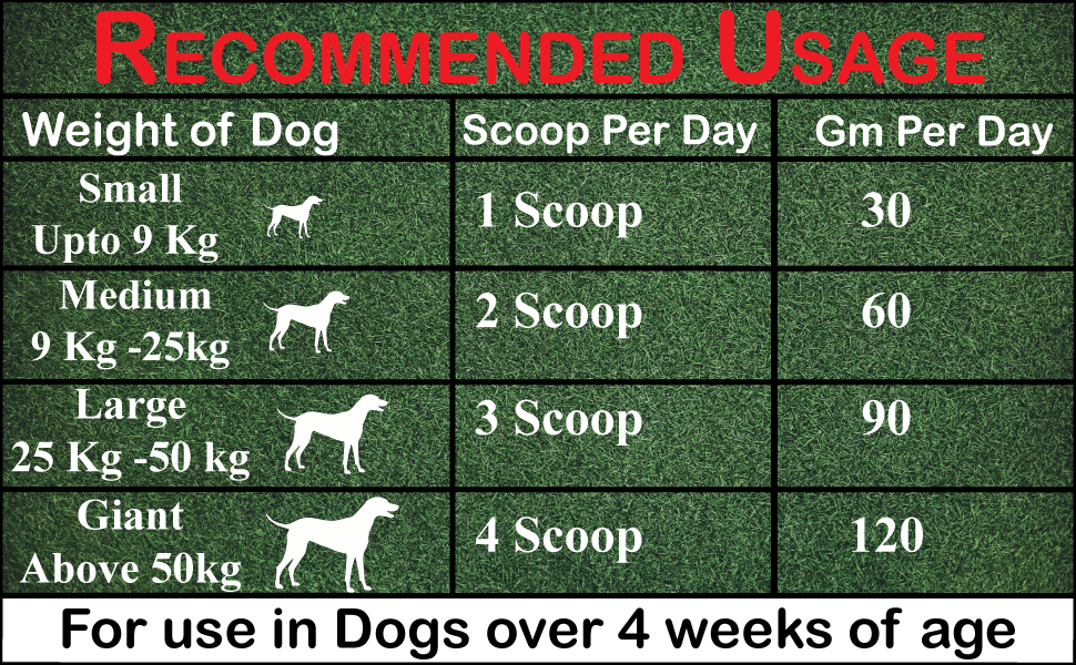 Bhola Shola Puppy Power Mass Gainer Supplement for Puppies (Chicken Flavour 500gm) Amazon.in