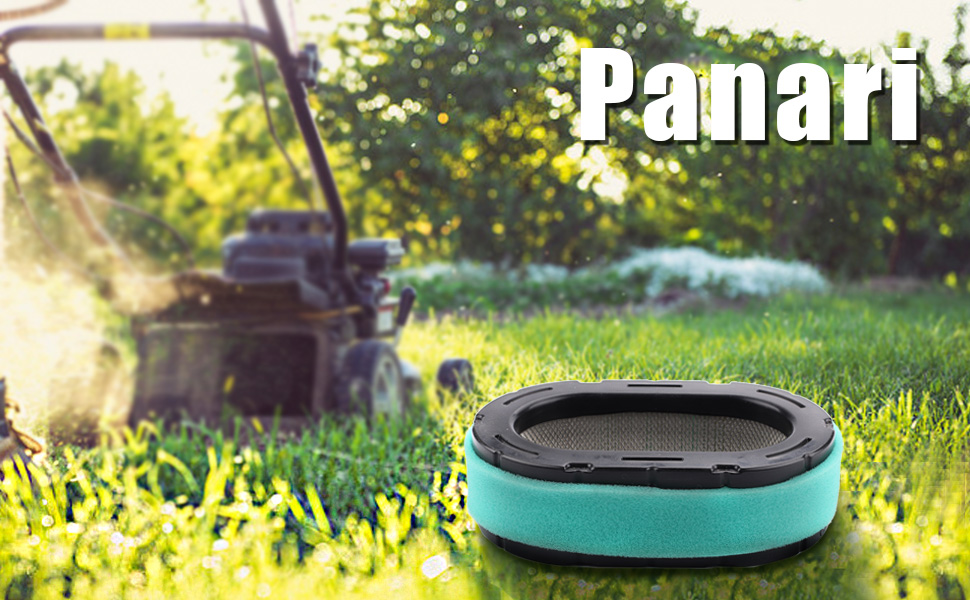 Panari Tune Up Kit Air Filter Oil Filter for Mtd Cub Cadet XT1 XT2