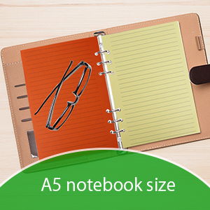 FANDAMEI 100 Sheet A5 Coloured Ruled Notepaper For Filofax - 6 Punched Holes 8.23x5.59 Inch Loose-Leaf Refillable Lined Paper, A5 Diary Planner Inserts Refills For Notes Meeting Travel Record