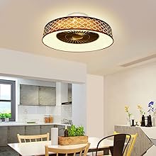 ceiling light with fan 