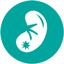 Kidney Health
