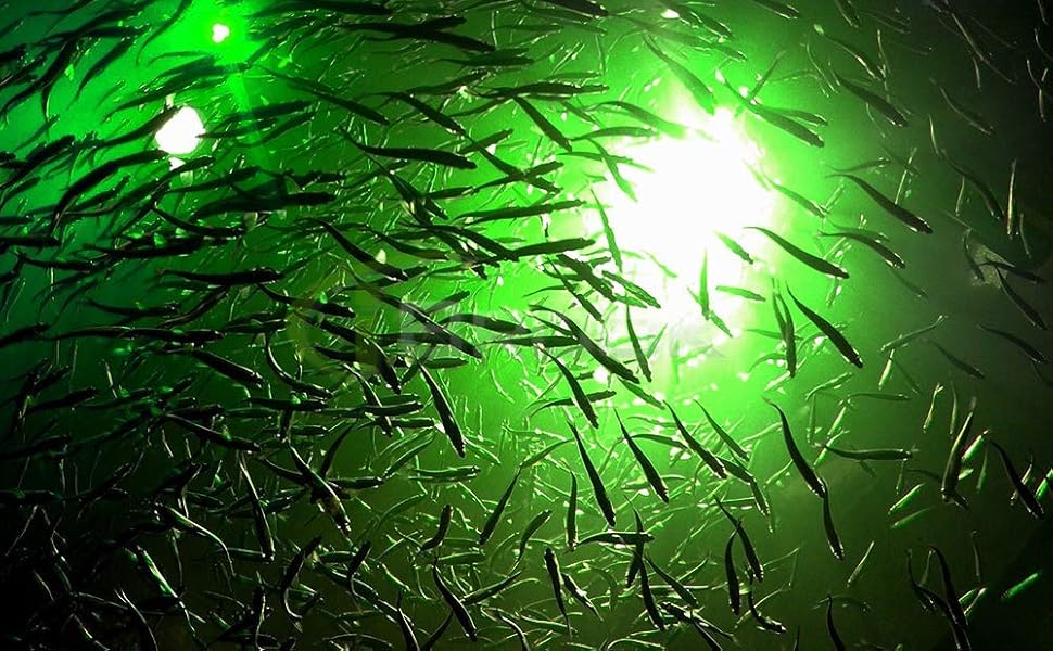 Large manufacture image 7