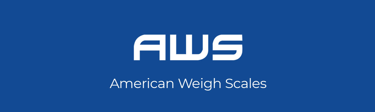 American Weigh Scales Calibration Weight for AWS Digital Scale, Carbon Steel, Solid Stainless Steel Chrome Finish, 2000G (2KGWGT)