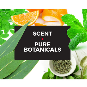 tame the beast Body Lotion for Dry Skin and Hands