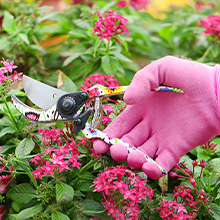 gardening tools set