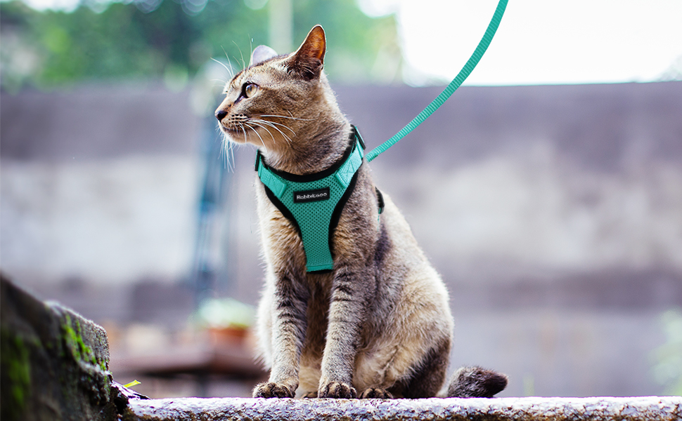 rabbitgoo Cat Harness and Leash Set for Walking Escape Proof with Leash