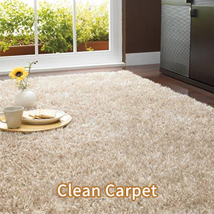 clean carpet