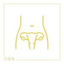 ayurveda goodness of pure herbs shatavari ashoka turmeric manjistha imbalance regularize cycles