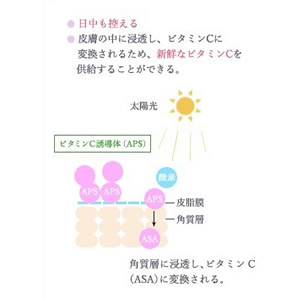 Amazon 安定型ビタミンc誘導体 100 パウダー 粉末 Aps Powder 10g 国産 ビタミンc アスコルビルリン酸na 手作りスキンケア 手作り化粧水 イオン導入 導入液 基礎化粧品研究所 化粧品原料 原液 通販