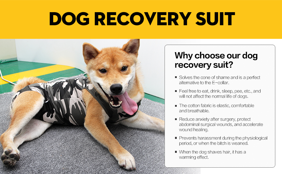 Dog Surgical Recovery Suit for Dogs Long Sleeve Keep Dog from Licking