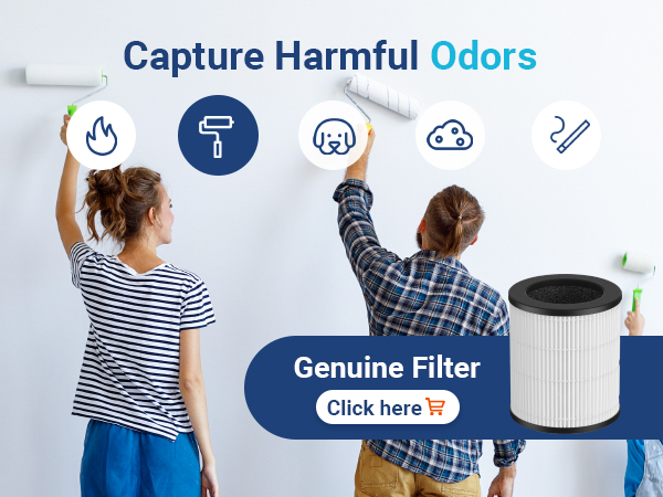 air purifiers with Aromatherapy for home large rooms pets