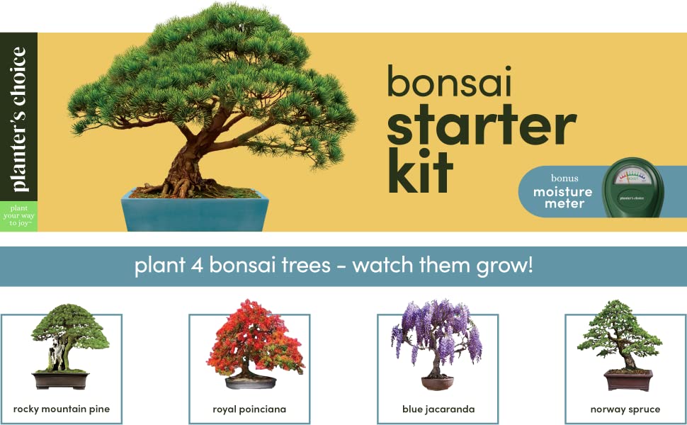 Bonsai Tree Growing Kit - Grow 4 Indoor Bonsai Trees - Plant a Garden from Seeds - Unique Gardening Gifts for Women & Men Gardeners : Unusual Gift Ideas - Adults Gardener Bonsai Tree Growing Kit - Grow 4 Indoor Bonsai Trees - Plant a Garden from Seeds - Unique Gardening Gifts for Women & Men Gardeners : Unusual Gift Ideas - Adults Gardener