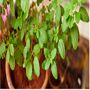 Small manufacture image 10