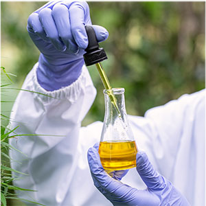 Hemp Oil For Dogs, Dog Anxiety Relief, Hemp Oil For Cats, Anxiety Medication For Dogs, Dog Hemp Oil