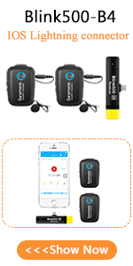 2.4GHz Wireless Microphone System