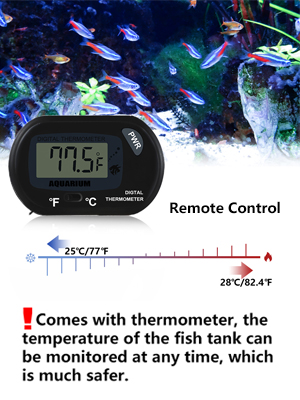 remote control