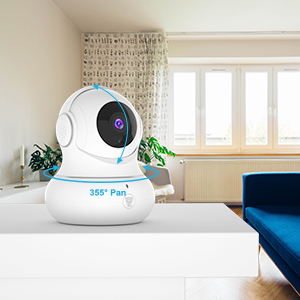 Security Camera