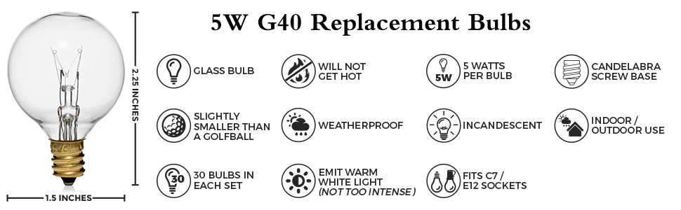 g40 BULBS