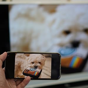 Small manufacture image 4