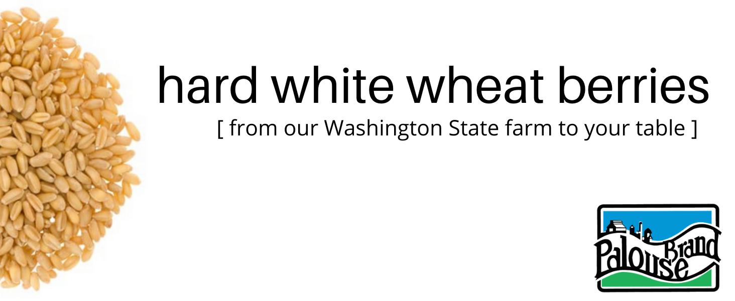 Hard White Wheat Berries Family Farmed in Washington