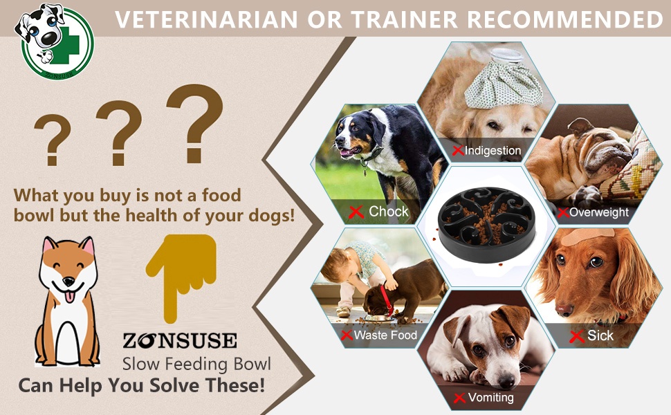 Zonsuse Pet Funny Pet Feeder Dog Bowl Slow Feeder, Bloat Stop Dog Food