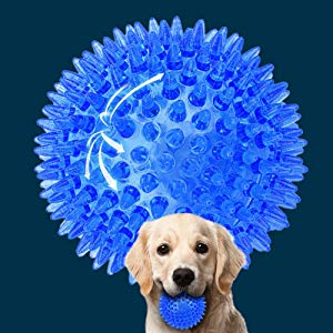 犬の歯ブラシ 噛むおもちゃゴム ボール 小中型犬 音が鳴る トレーニング Amazon | 犬用 玩具ボール 音が出る 歯ぎしり 歯磨きボール 噛む