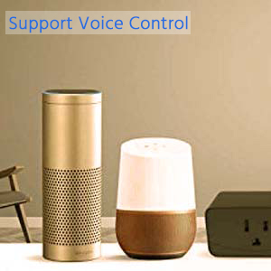 voice control