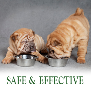 Small manufacture image 4