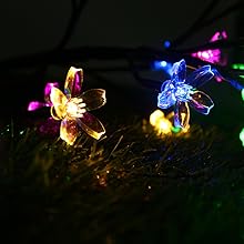 cherry light