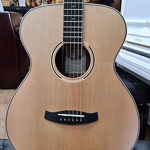 Tanglewood Discovery Exotic TW DBT FEB Acoustic Guitar, 6 Strings, Folk, Natural Open Pore Satin Finish, Ebony Back 4 SPN-UGL