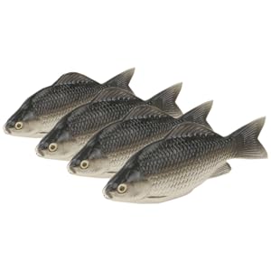 オオモンハタ　フィギュア　魚寸27cm 【第10回日本彫刻コンクール入選作品】 Amazon | BACALYSO | 動物惑星 オウム 鸚鵡 フィギュア 12CM級