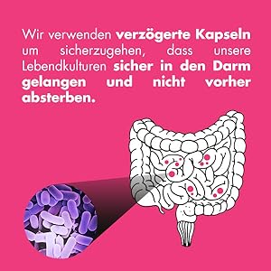 Kapsel mit verzögerter Freisetzung, magensaftresistent, lebende Kulturen, Ballaststoffe