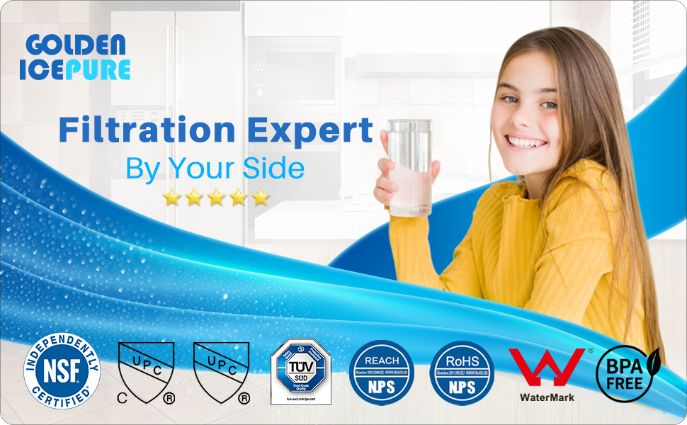 GOLDEN ICEPURE ADQ73613401 Refrigerator Water Filter