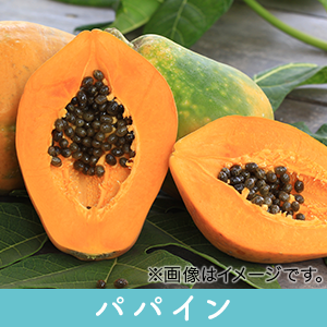 Amazon 洗顔石鹸 固形 抗菌 無添加 美白 ニキビ 毛穴 シミ 乾燥肌 東京和花 すっぴんエバーせっけん 東京和花 洗顔せっけん 通販