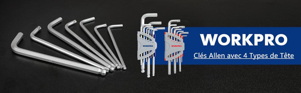 WORKPRO Jeu De 18 Clés Allen Hexagonales En Cr-V Avec Tête Plate, Torx, Sphérique, Clés Males Avec Etui Portative Pour Réparation Et Assemblage De Vélo, Moto, Voiture, Electroménager 13 2