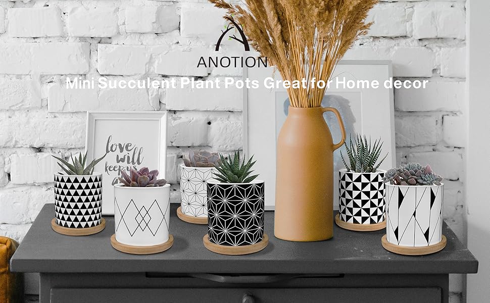 Small Succulent Pots with Drainage, 6 Pcs Small Pots for