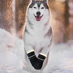 Dog Winter Boots - Waterproof Cold Weather Dog Shoes, Non Slip Adjustable Winter Pet Boots | Comfortable Insulated Dog Footwear, Anti Skid Protective Paw Shoes for Small Medium Large Dogs 13 23f9cc90 edac 49e8 b446 c71d5a5f35ba. CR0,0,1600,1600 PT0 SX300 V1