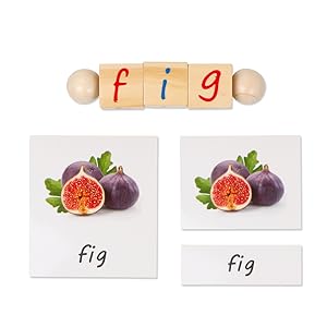 Montessori early education toys