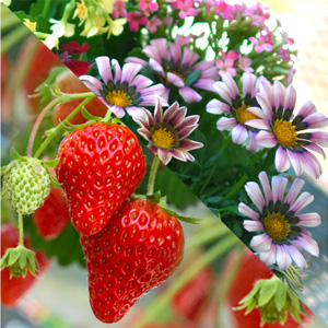 Small manufacture image 5