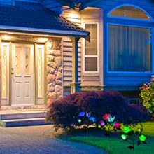 Solar Garden Lights