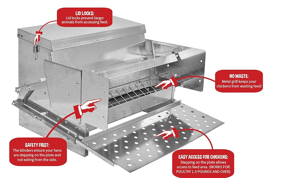 Top 10 Best automatic chicken feeder DecisionDesk