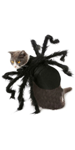 cat costume