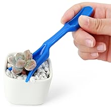 tool kit tools for planting succulents planter succulent