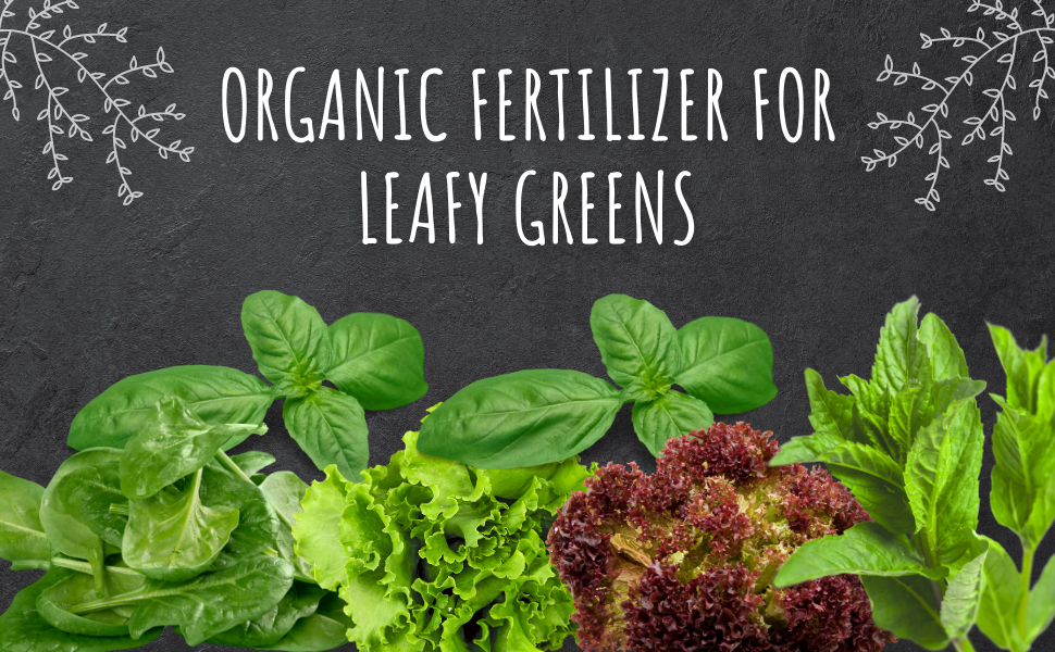 Bombay Greens Water Soluble, Fast Release Organic Fertilizer for Leafy Vegetables (Makes 200
