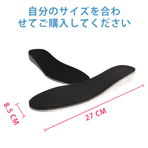 インソール シークレット