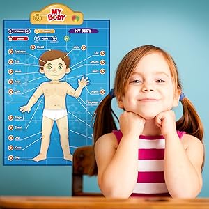 educational learning toy poster mat interactive body parts organs bones muscles quiz talking kids
