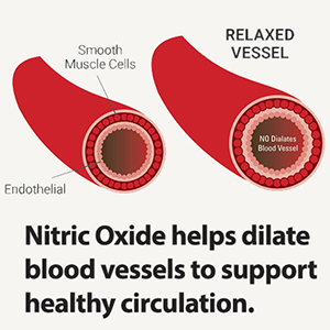 nitric oxide supplement daily boost men oxido nitrico blood flow count booster nitro force oxcide 